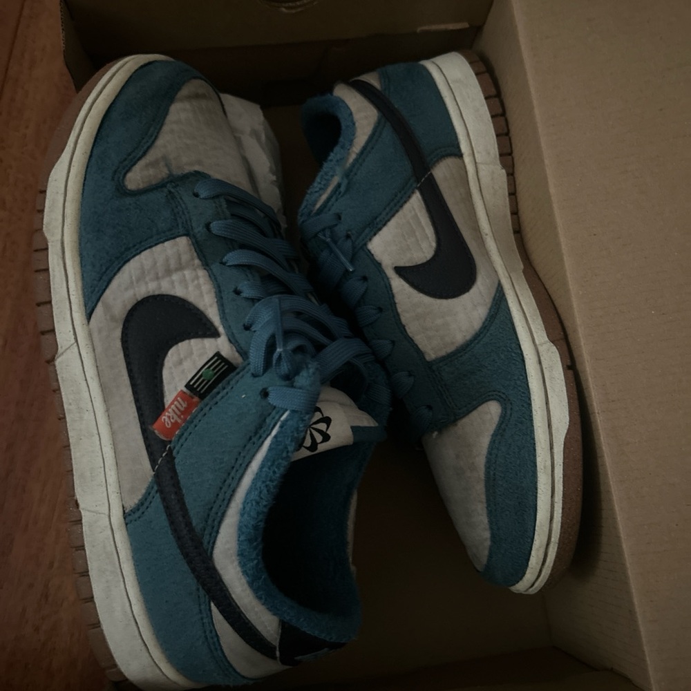Nike dunk low next nature